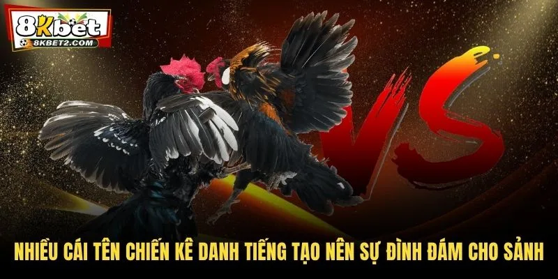 Nhiều cái tên chiến kê danh tiếng tạo nên sự đình đám cho sảnh