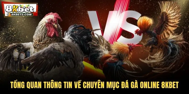 Tổng quan thông tin về chuyên mục đá gà online 8KBET